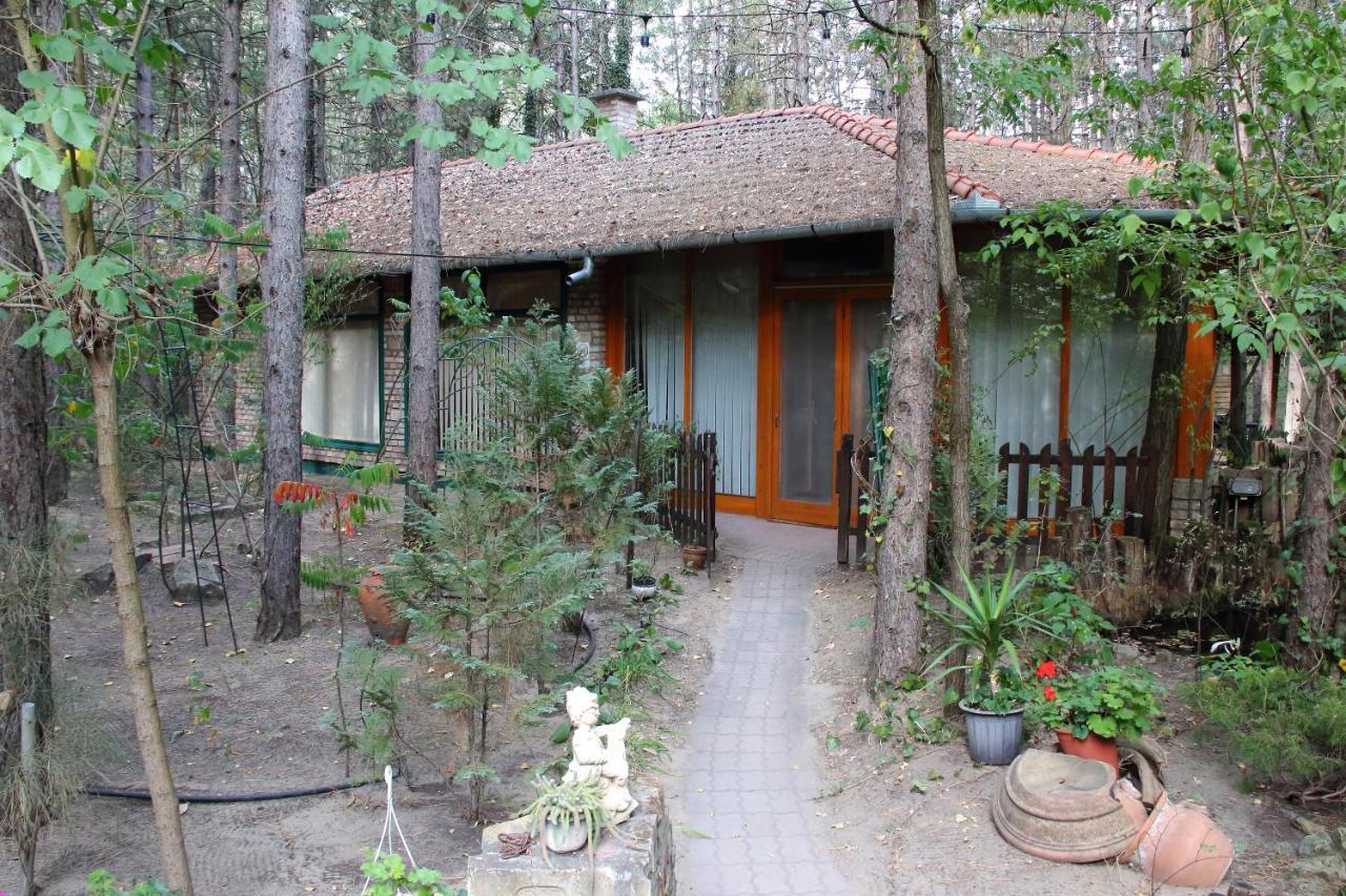 Ambiente Bed & Breakfast Kiskunhalas Exterior photo